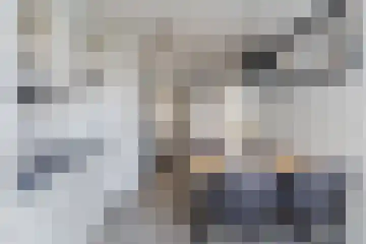 Lindenstraat 45 Hapert thumbnail 11