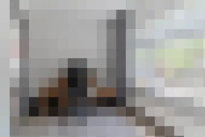 Lindenstraat 45 Hapert thumbnail 16