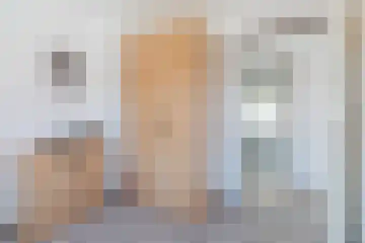 Lindenstraat 45 Hapert thumbnail 18