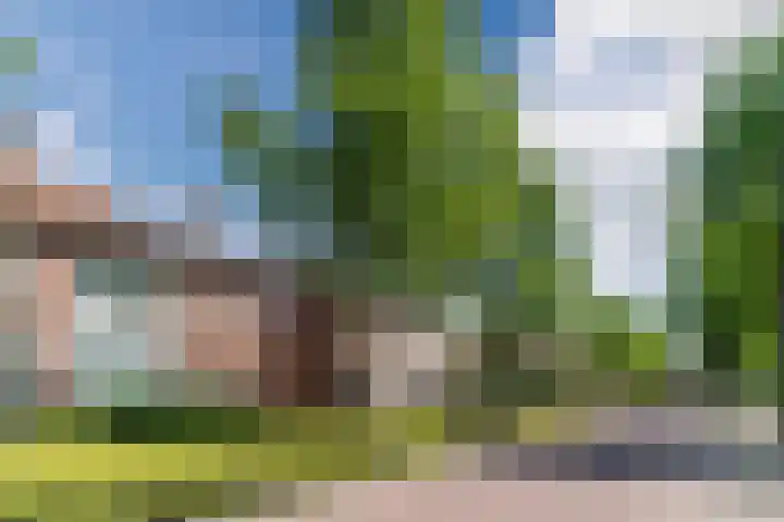 Lindenstraat 45 Hapert thumbnail 30