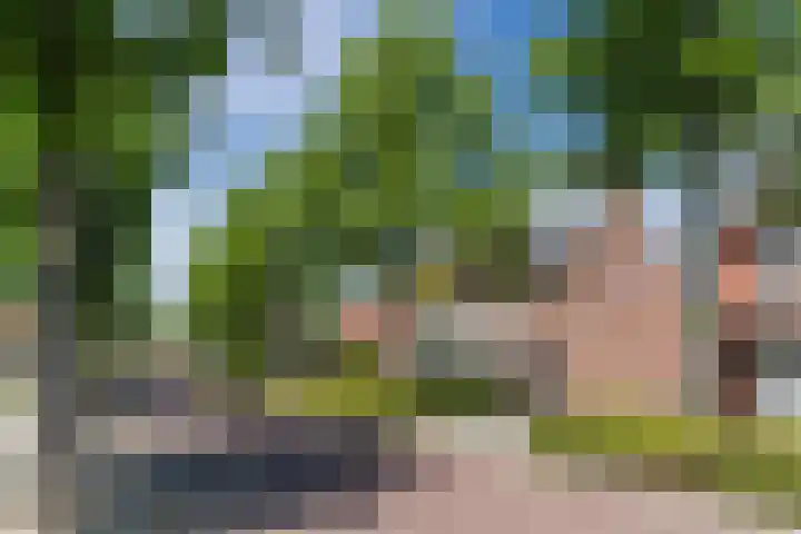 Lindenstraat 45 Hapert thumbnail 31