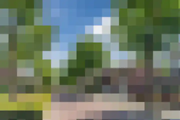 Lindenstraat 45 Hapert thumbnail 32