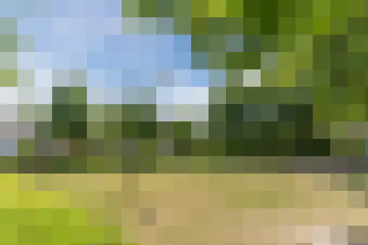 Lindenstraat 45 Hapert thumbnail 33