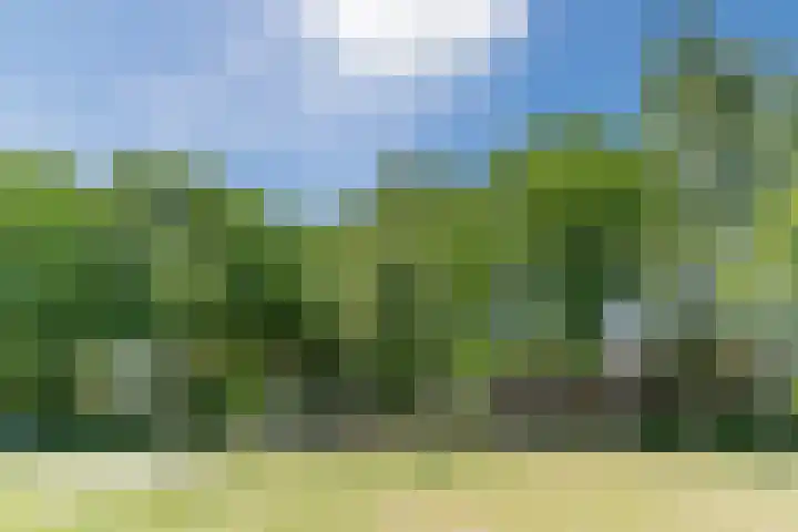 Lindenstraat 45 Hapert thumbnail 34