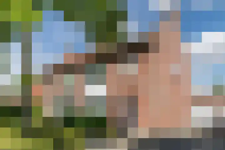Lindenstraat 45 Hapert thumbnail 4
