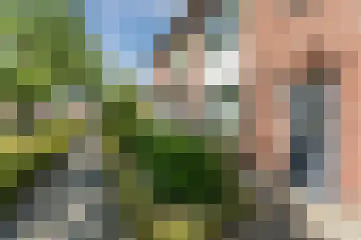 Lindenstraat 45 Hapert thumbnail 5