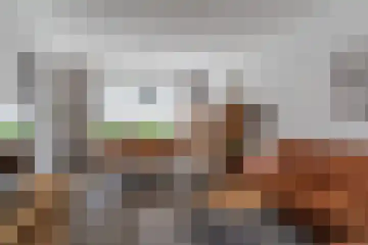 Lindenstraat 45 Hapert thumbnail 6