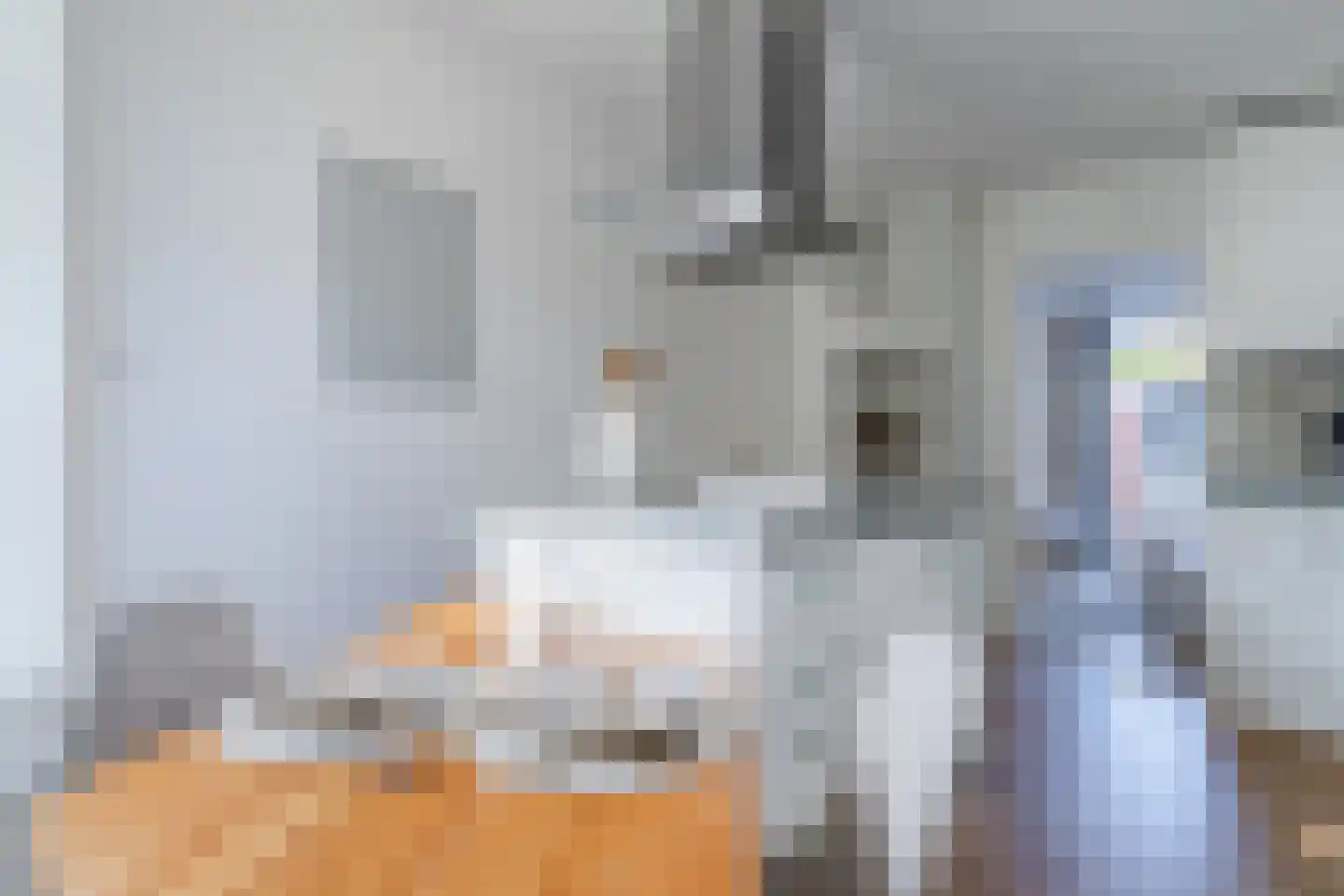 Lindenstraat 48 Haarlem thumbnail 17