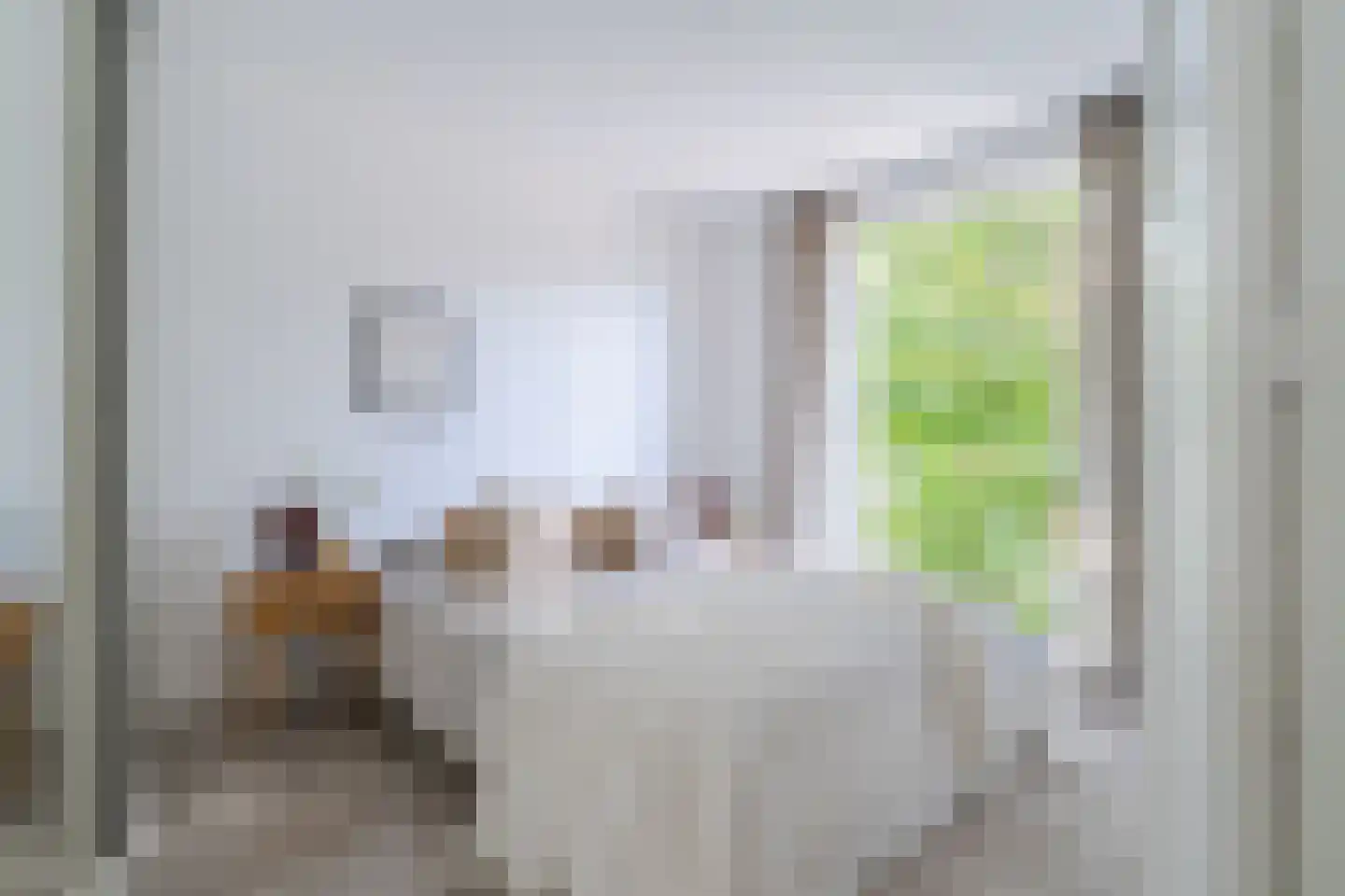 Lindenstraat 48 Haarlem thumbnail 26