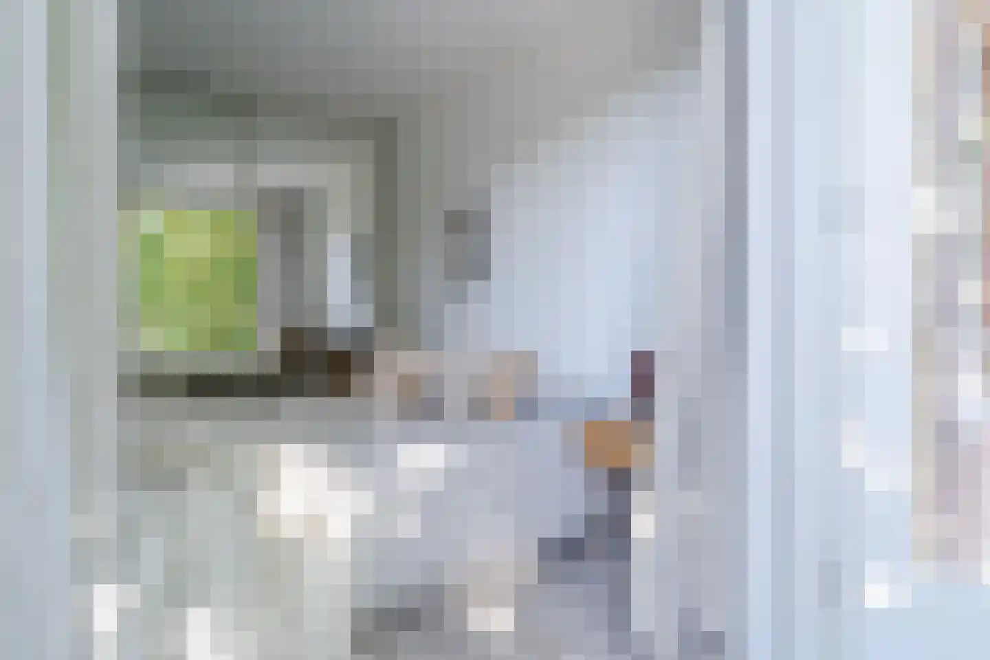 Lindenstraat 48 Haarlem thumbnail 29