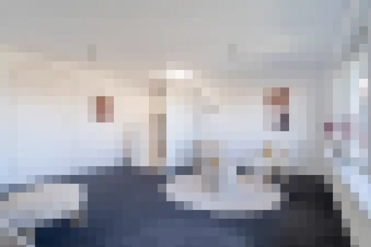 Lindenstraat 48 Haarlem thumbnail 38