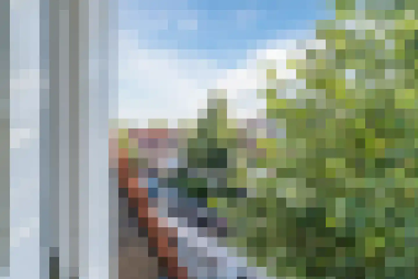 Lindenstraat 48 Haarlem thumbnail 45