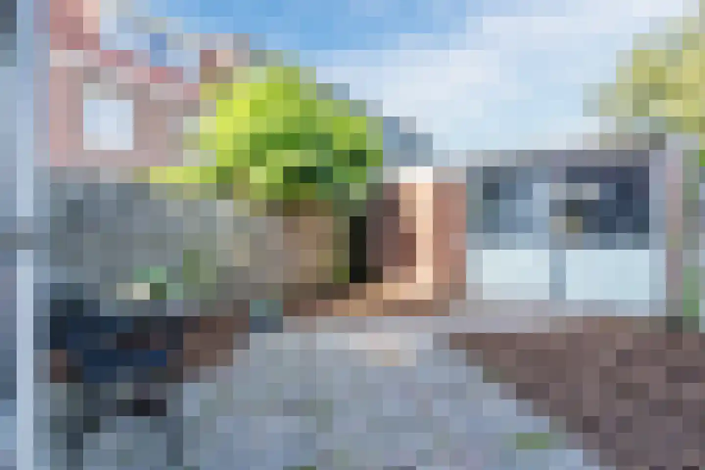 Lindenstraat 48 Haarlem thumbnail 48