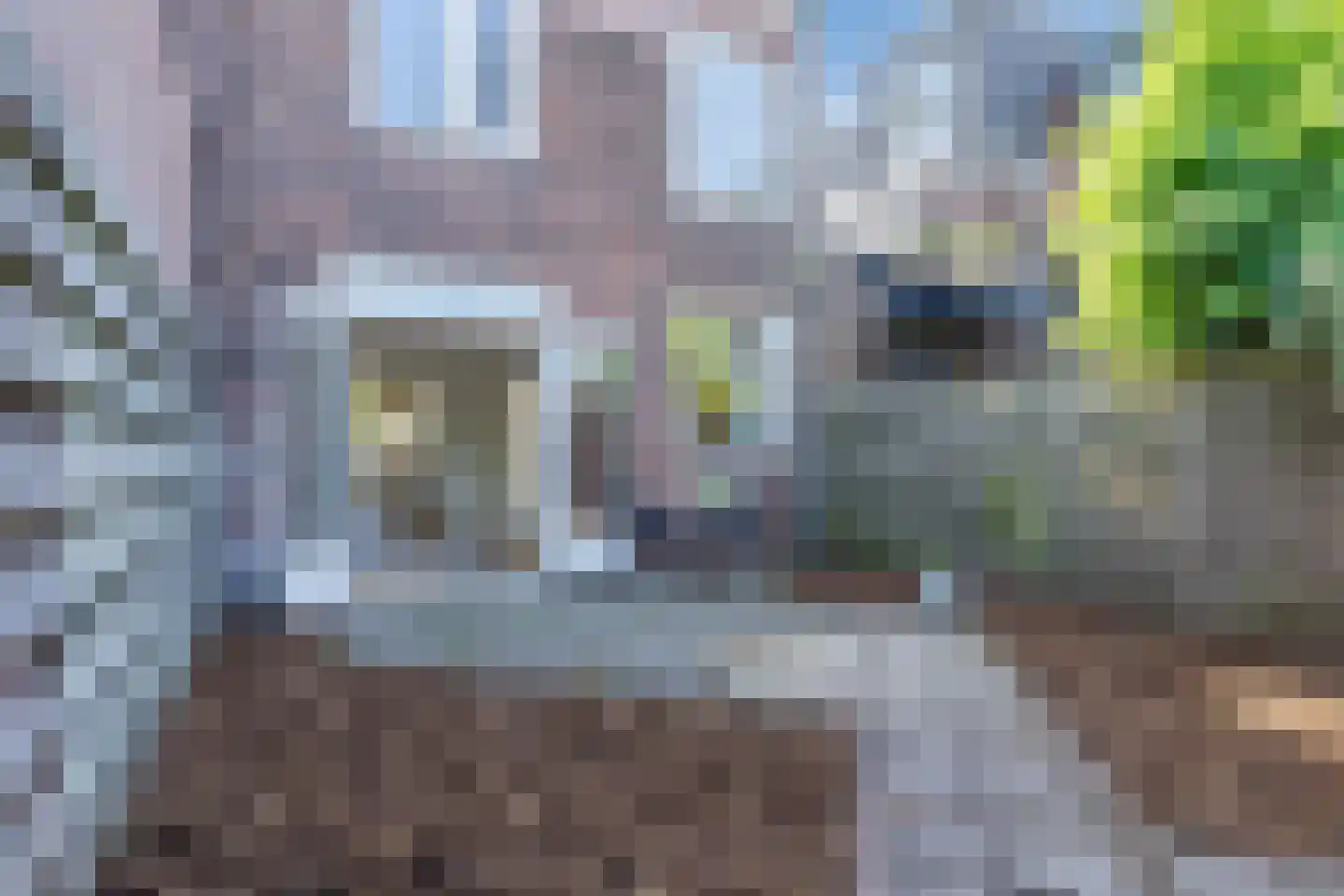 Lindenstraat 48 Haarlem thumbnail 49