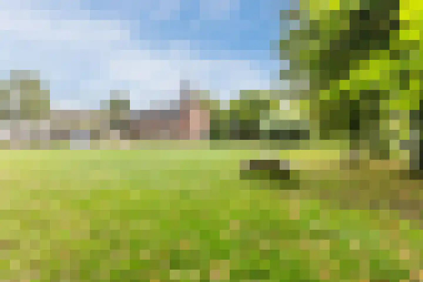 Lindenstraat 48 Haarlem thumbnail 57