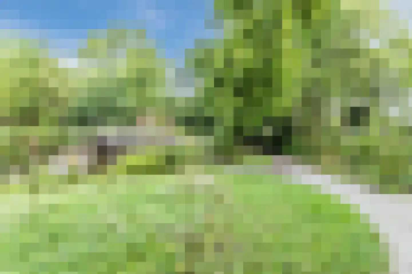 Lindenstraat 48 Haarlem thumbnail 58