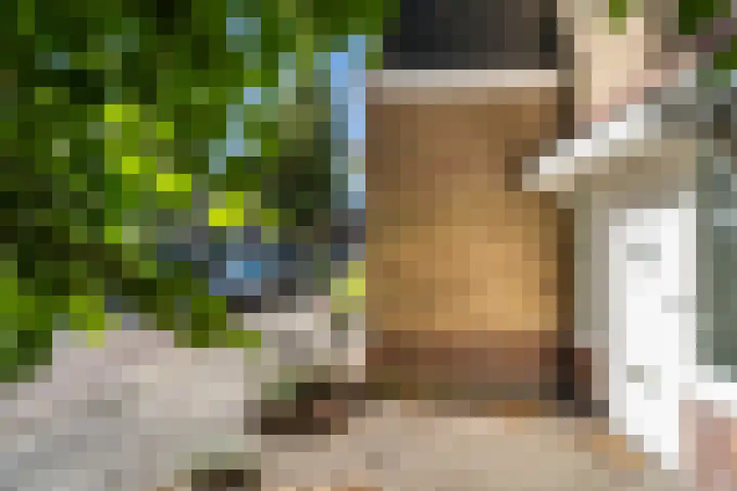 Lindenstraat 48 Haarlem thumbnail 6