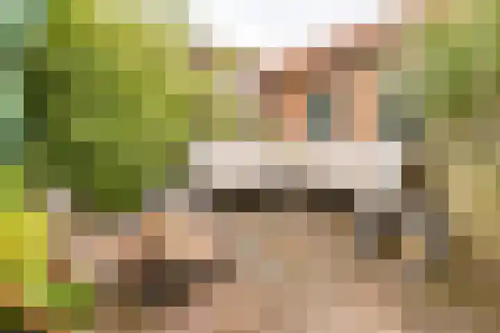 Lindenstraat 49 IJmuiden thumbnail 25
