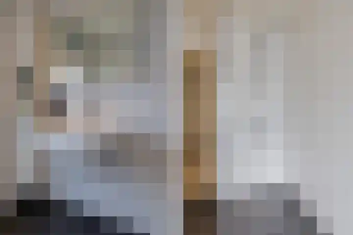 Lindenstraat 49 IJmuiden thumbnail 39