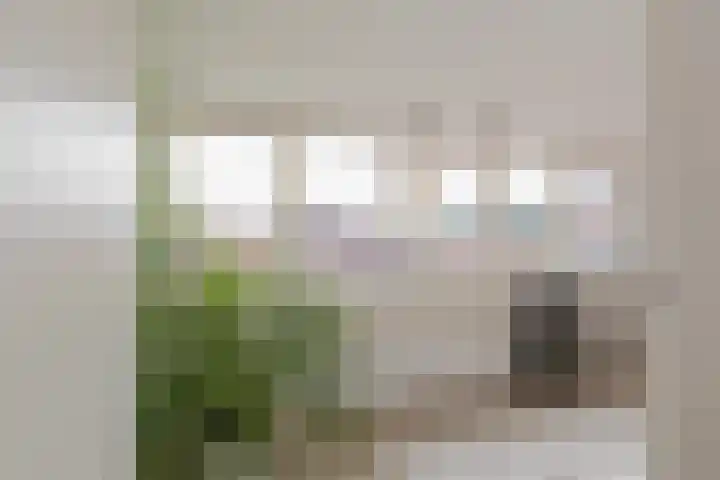 Lindenstraat 49 IJmuiden thumbnail 47