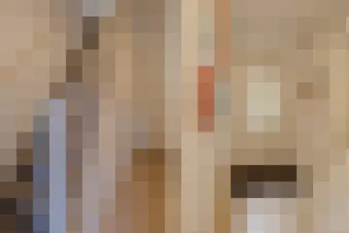 Lindenstraat 49 IJmuiden thumbnail 51