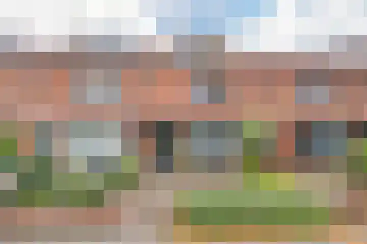 Lindenstraat 49 IJmuiden thumbnail 52