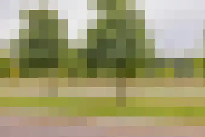 Lindenstraat 49 IJmuiden thumbnail 53