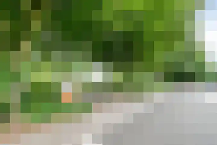Lindenstraat 5 Venray thumbnail 34