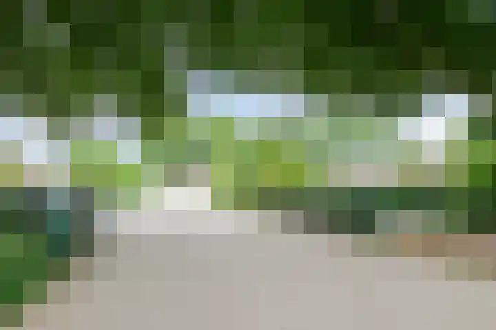 Lindenstraat 5 Venray thumbnail 35