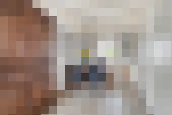 Lindenstraat 5 Venray thumbnail 7