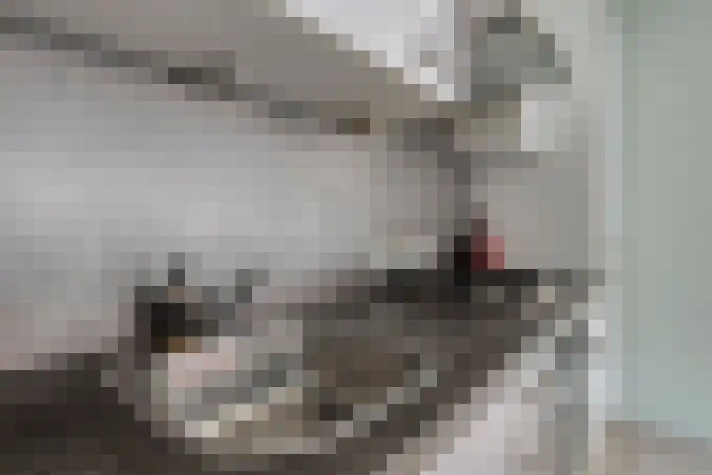 Lindenstraat 6 e Bleskensgraaf ca thumbnail 10