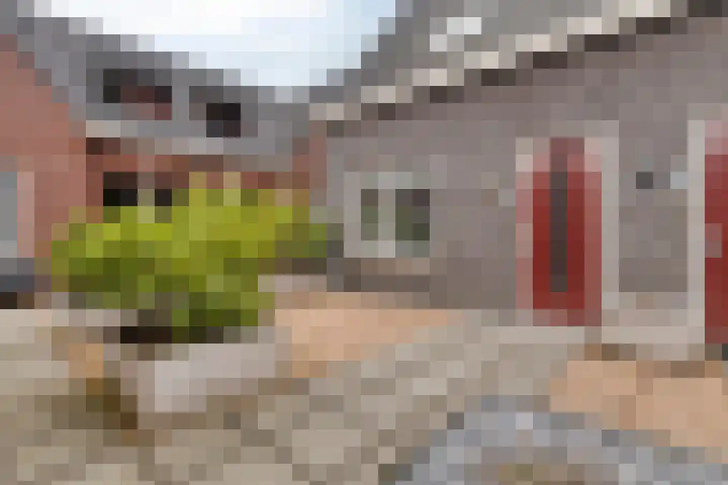 Lindenstraat 6 e Bleskensgraaf ca thumbnail 17