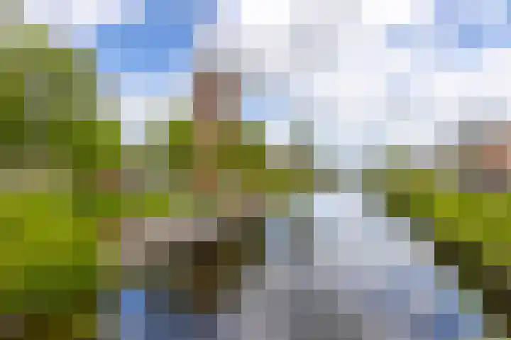 Lindenstraat 6 g Bleskensgraaf ca thumbnail 34