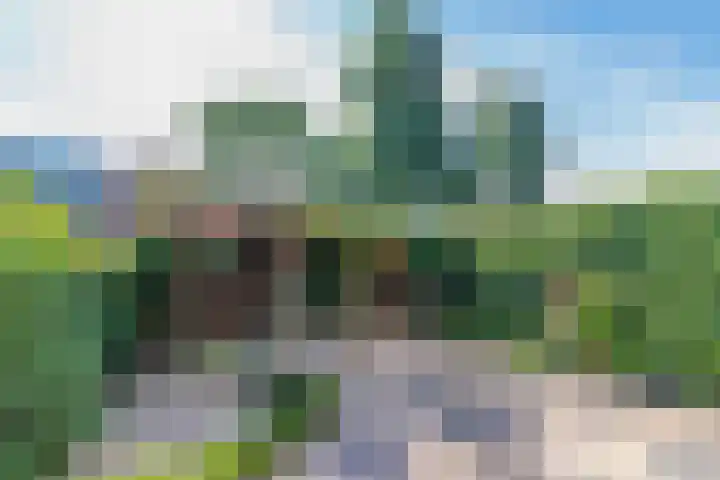 Lindenstraat 6 's-Gravenzande thumbnail 7
