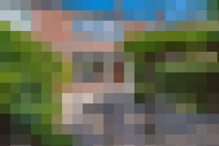 Lindenstraat 6 's-Gravenzande thumbnail 8