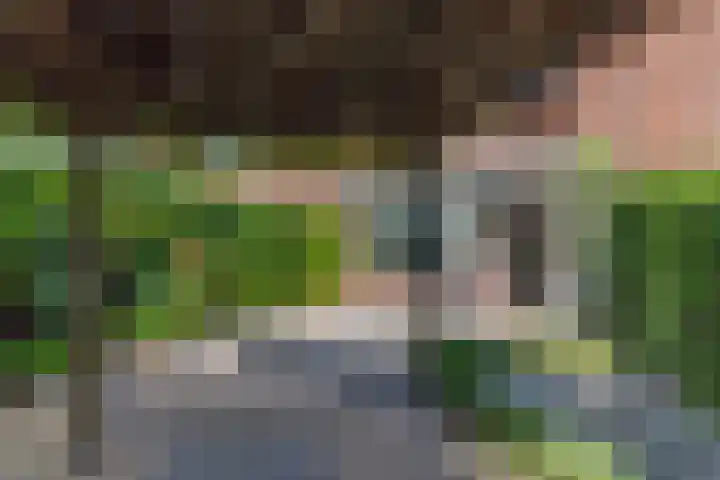 Lindenstraat 6 's-Gravenzande thumbnail 9