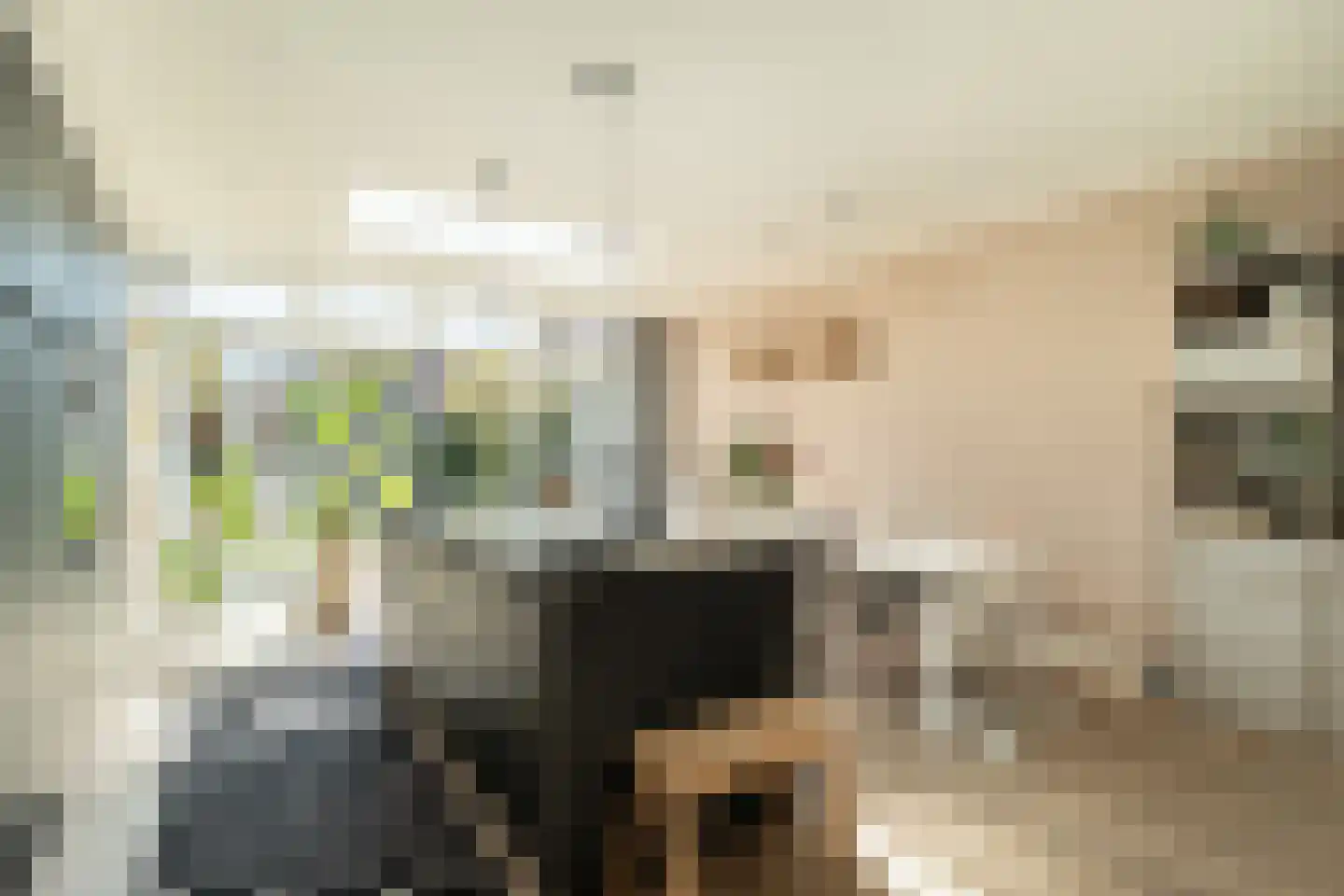 Lindenstraat 7 Haarlem thumbnail 12