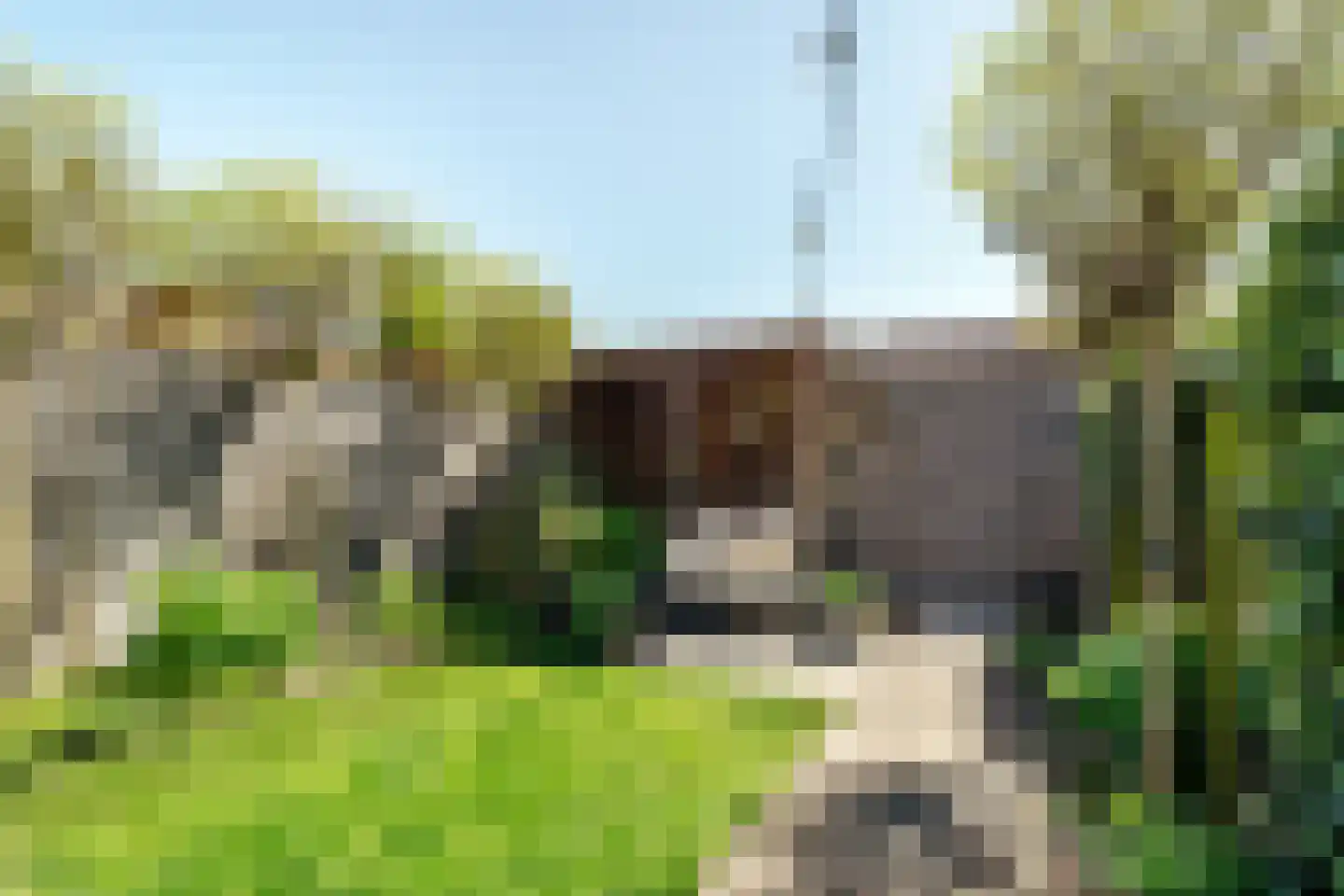 Lindenstraat 7 Haarlem thumbnail 17