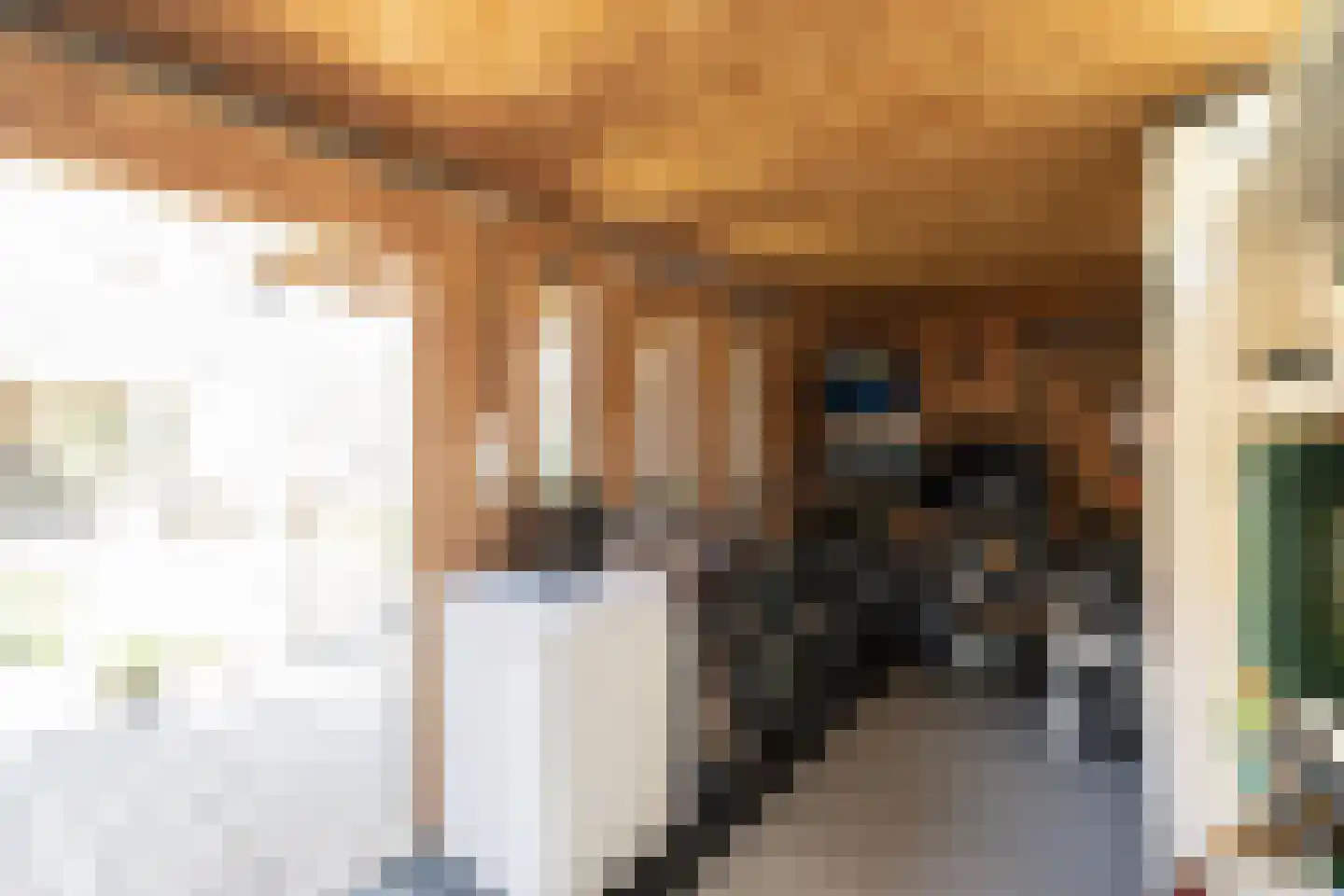Lindenstraat 7 Haarlem thumbnail 19