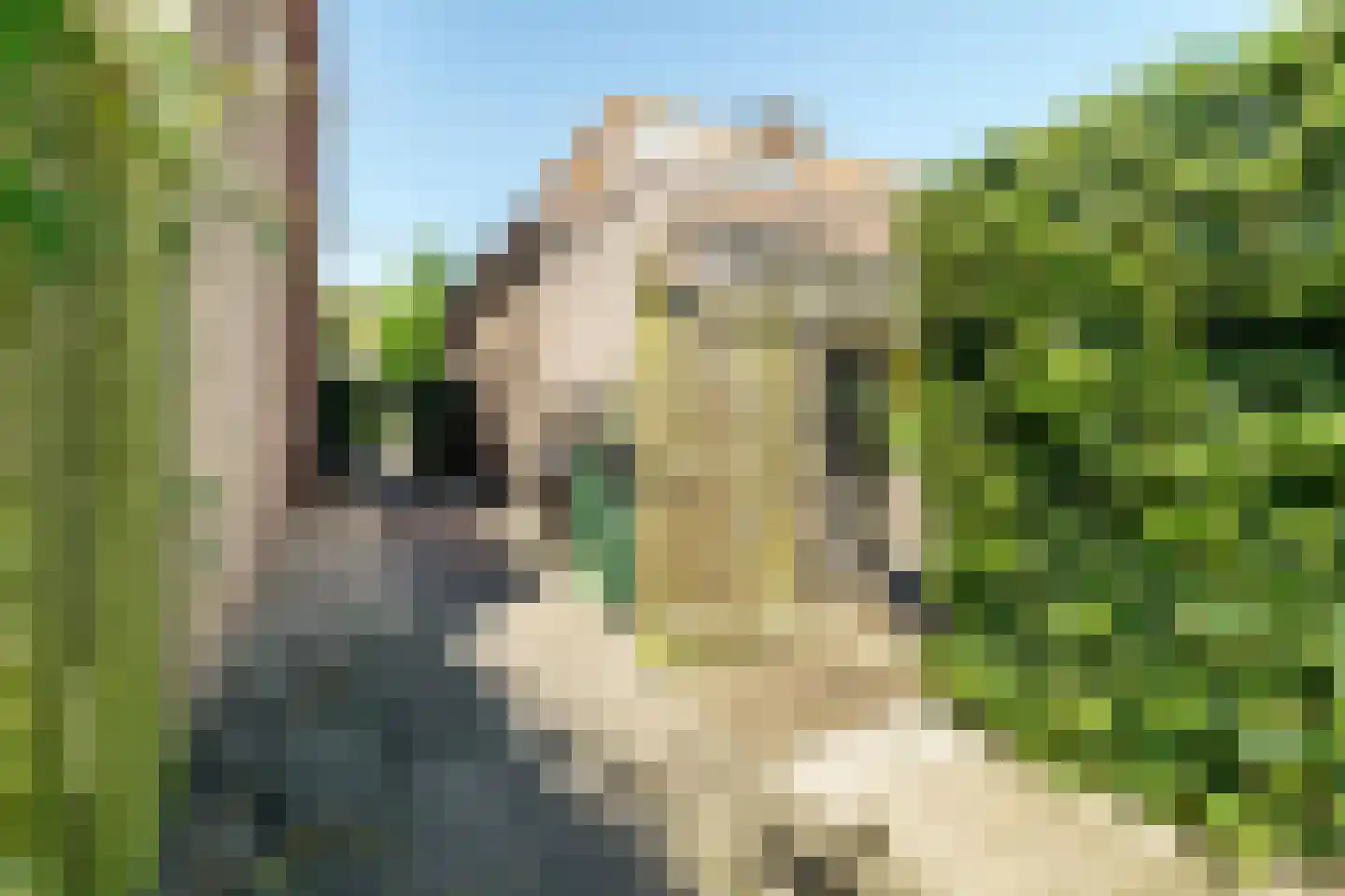 Lindenstraat 7 Haarlem thumbnail 20