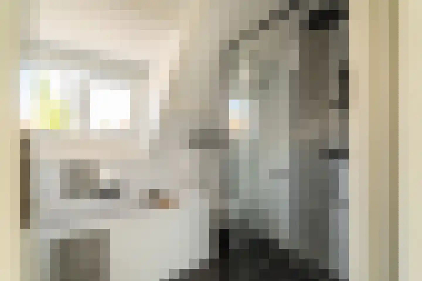 Lindenstraat 7 Haarlem thumbnail 25