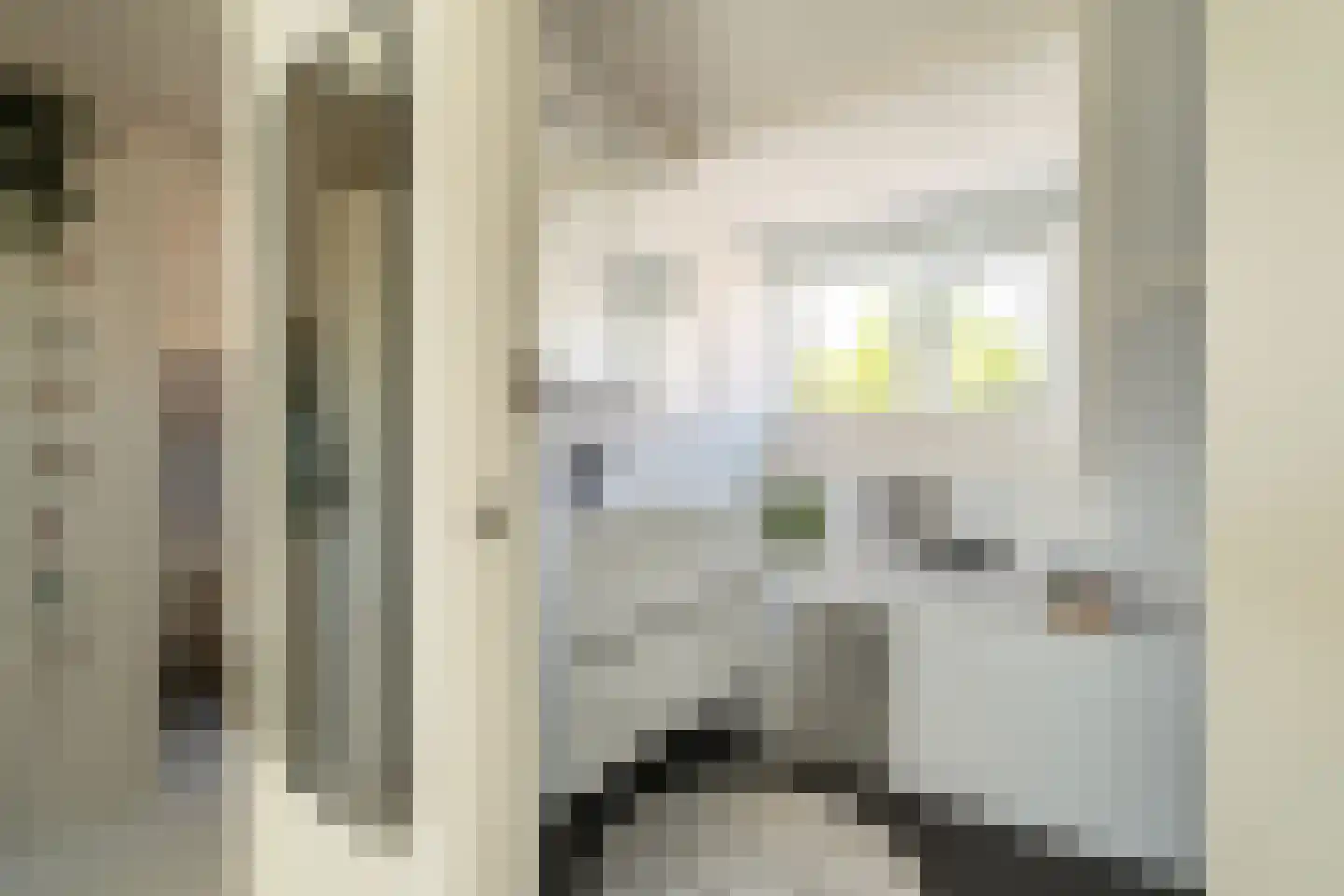 Lindenstraat 7 Haarlem thumbnail 26