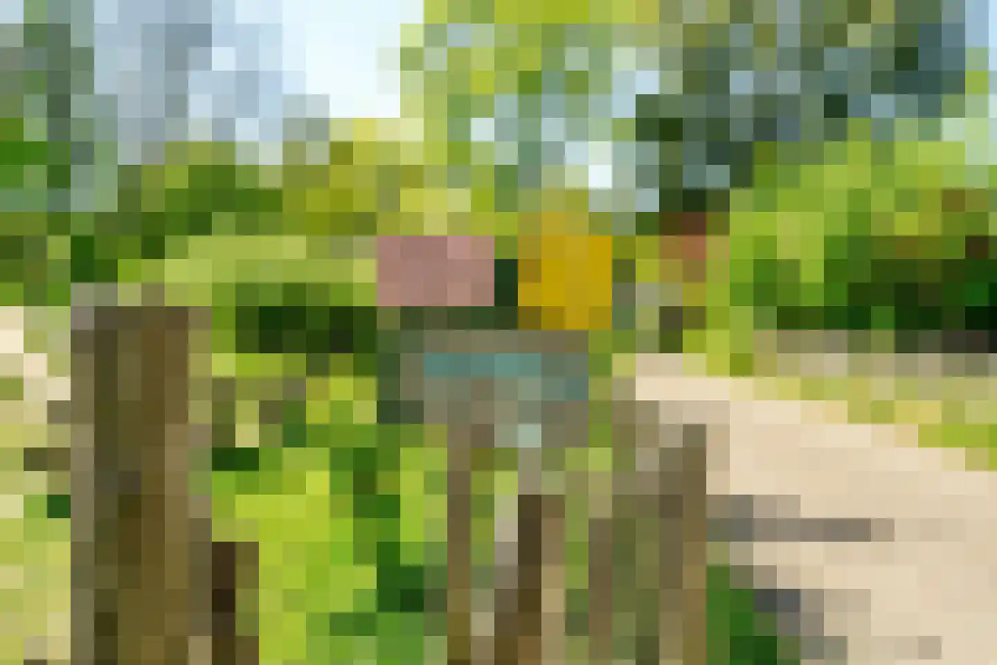 Lindenstraat 7 Haarlem thumbnail 31