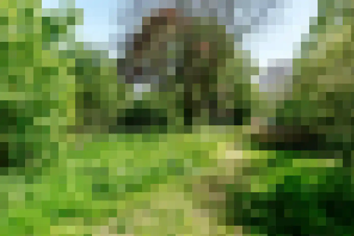 Lindenstraat 7 Haarlem thumbnail 32
