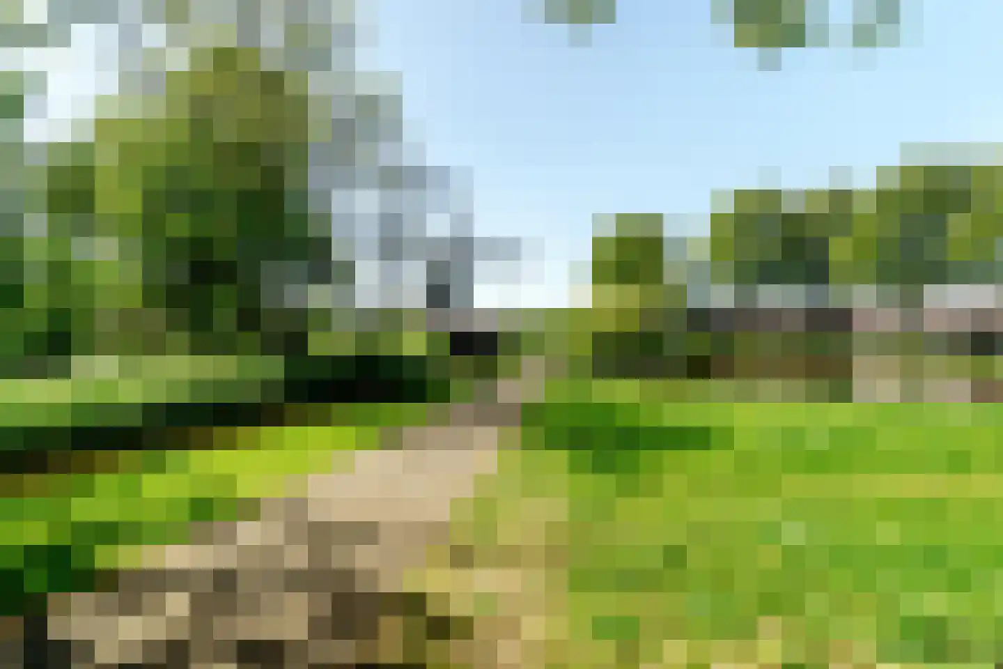Lindenstraat 7 Haarlem thumbnail 33