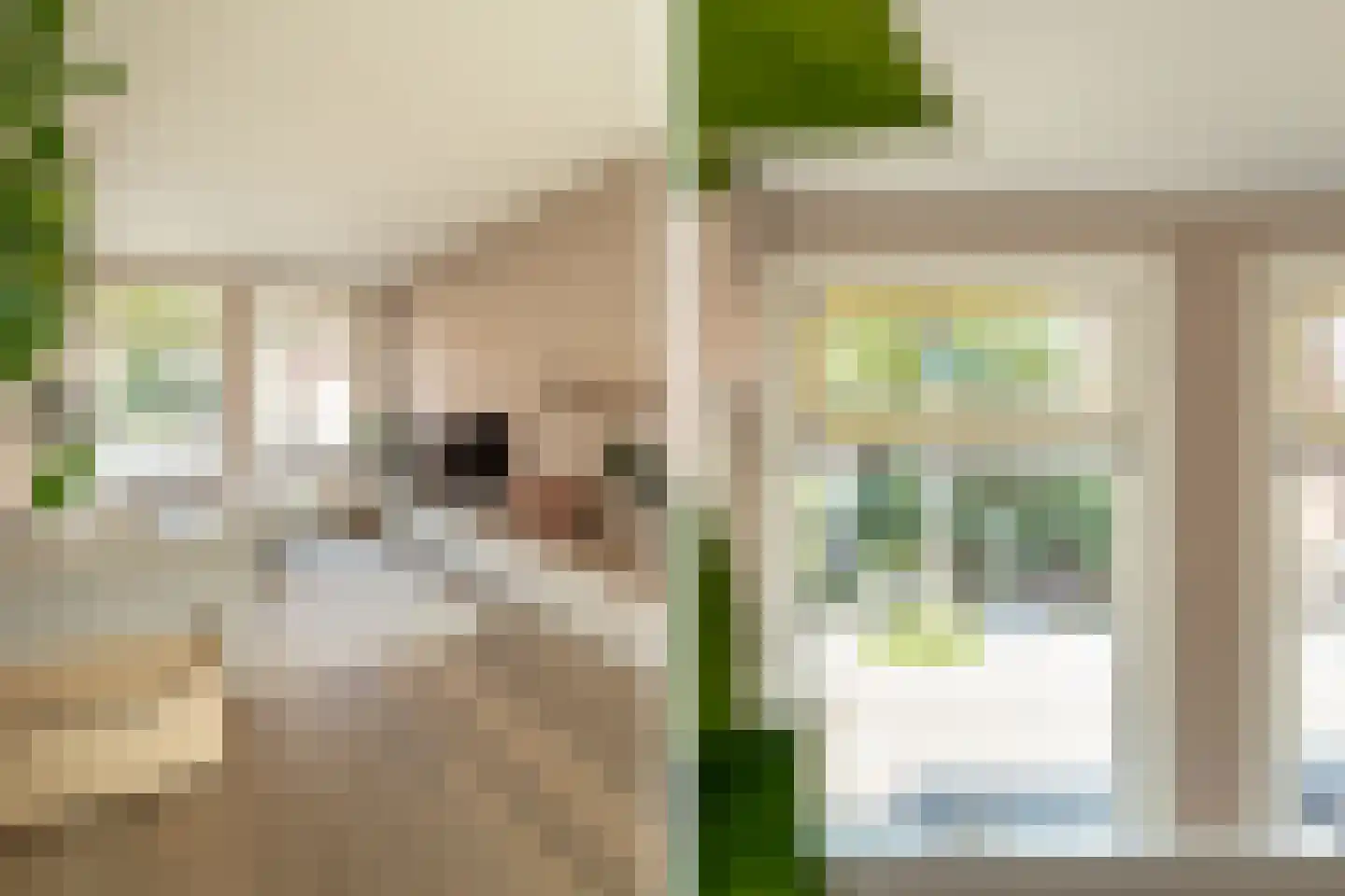 Lindenstraat 7 Haarlem thumbnail 4
