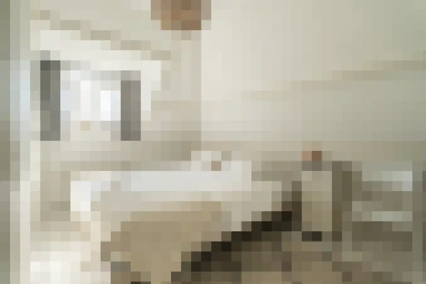 Lindenstraat 7 Haarlem thumbnail 5