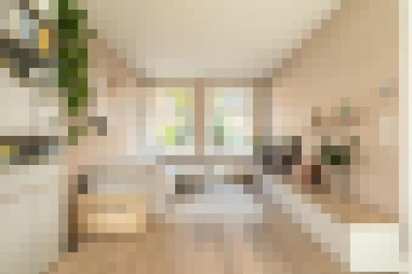Lindenstraat 7 Haarlem thumbnail 7