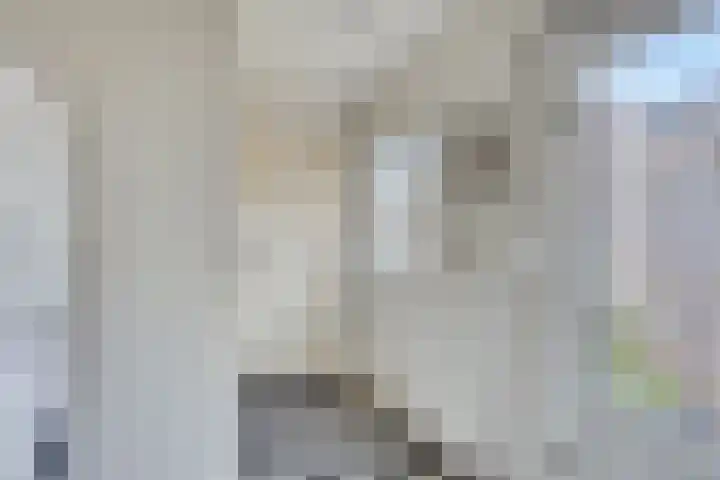 Lindenstraat 7 Tilburg thumbnail 10