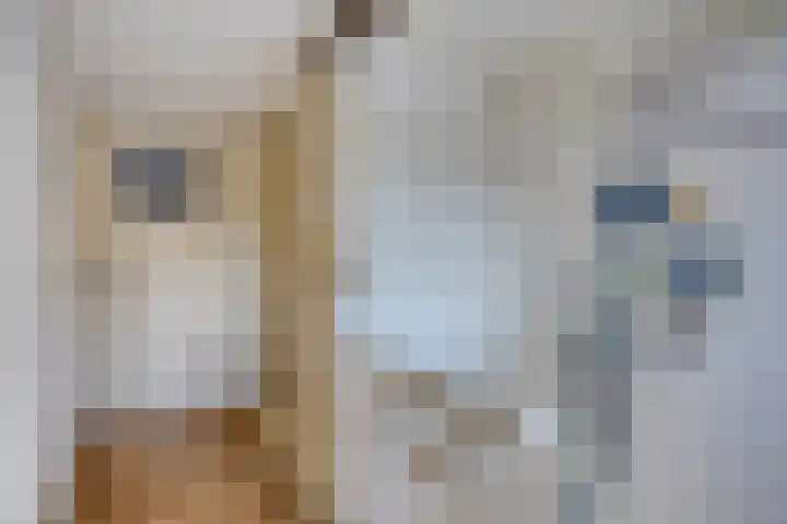 Lindenstraat 7 Tilburg thumbnail 16